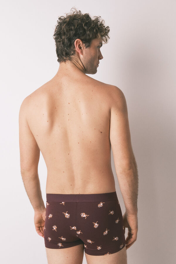 Women'secret Paket od 2 komada pamučnih gaća "Taz" Bordo