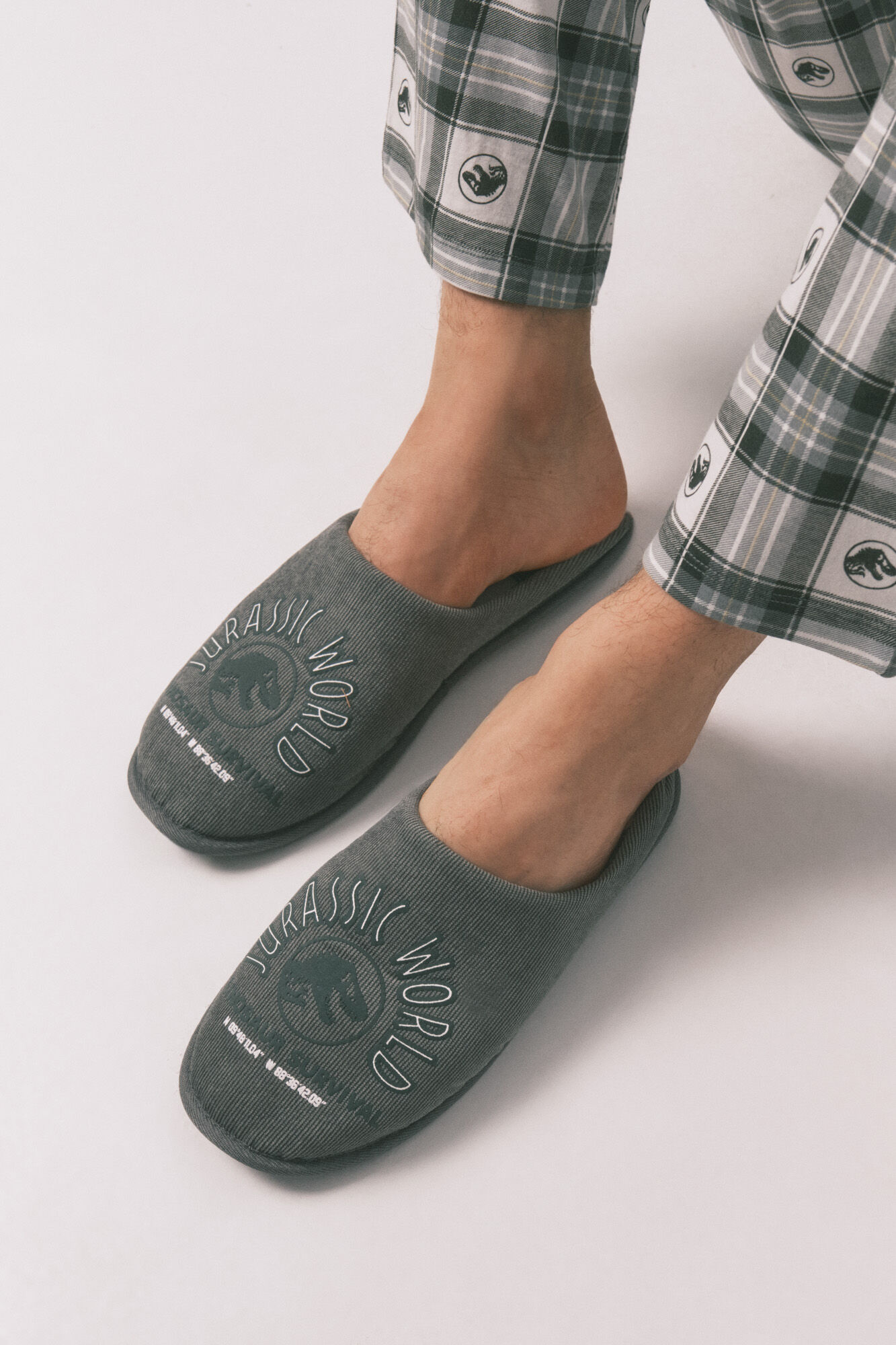 Women'secret Mu&scaron;ke sobne papuče &bdquo;Jurski svet&ldquo;