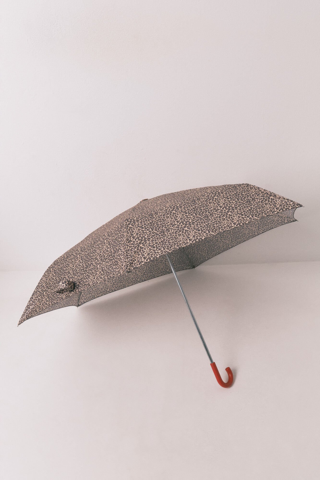 Women'secret Paraguas animal print Snoopy