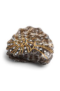 Pieces Mola de cabelo design concha