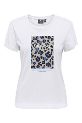 Camiseta básica algodón