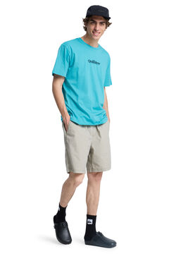 Quiksilver Camiseta manga corta lisa logo