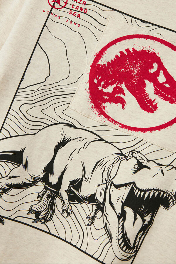 Name it Camiseta Jurassic Park beige