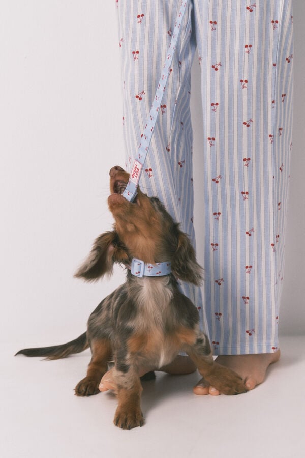 Women'secret Plava ogrlica za psa sa priveskom tre&scaron;nje Plava