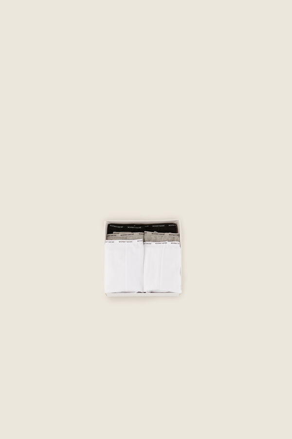 Women'secret Pakovanje od 6 para gaćica culotte od organskog pamuka Print