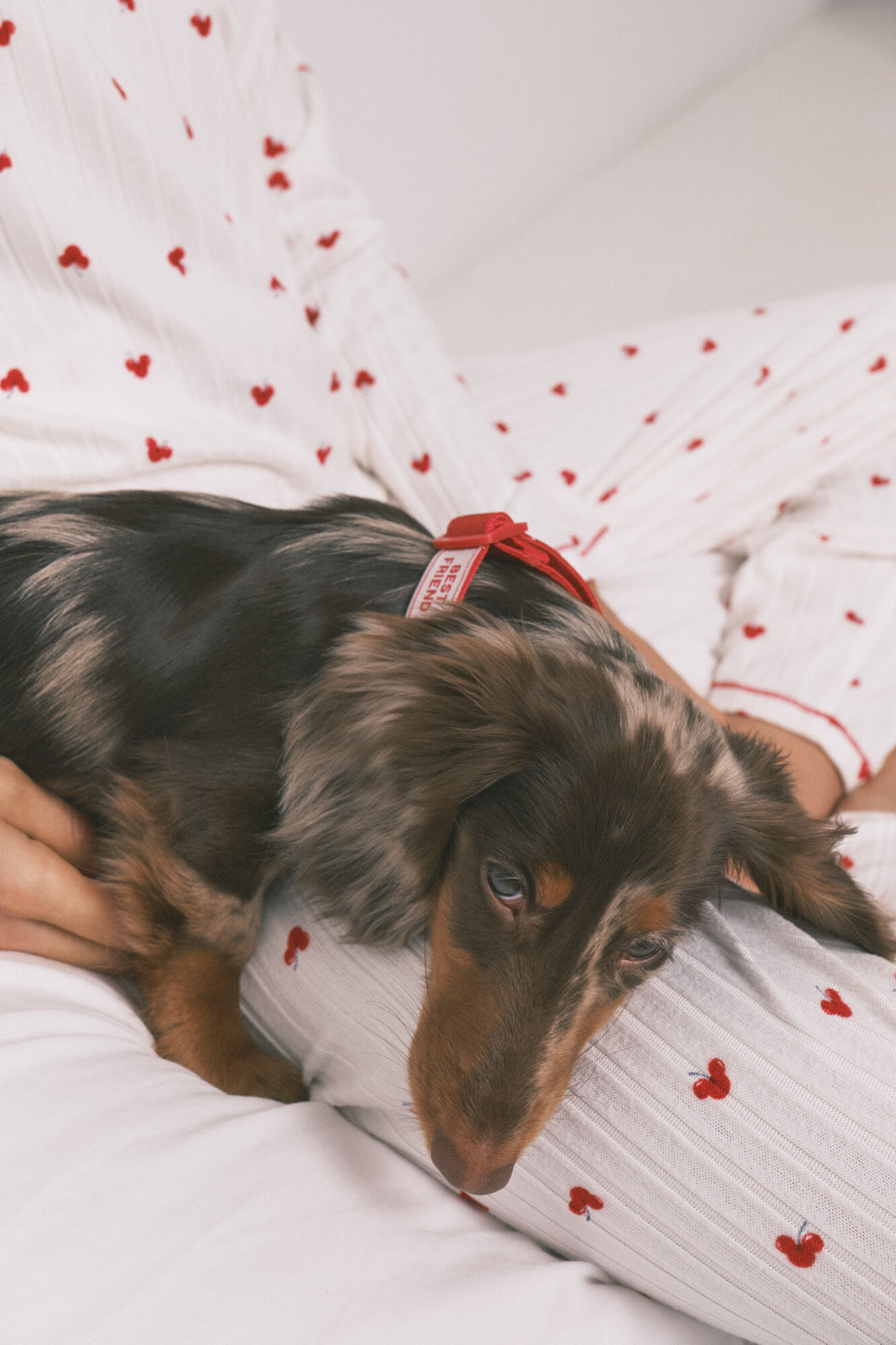 Women'secret Crvena ogrlica za psa sa priveskom tre&scaron;anja