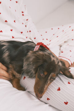 Women'secret Crvena ogrlica za psa sa priveskom tre&scaron;anja