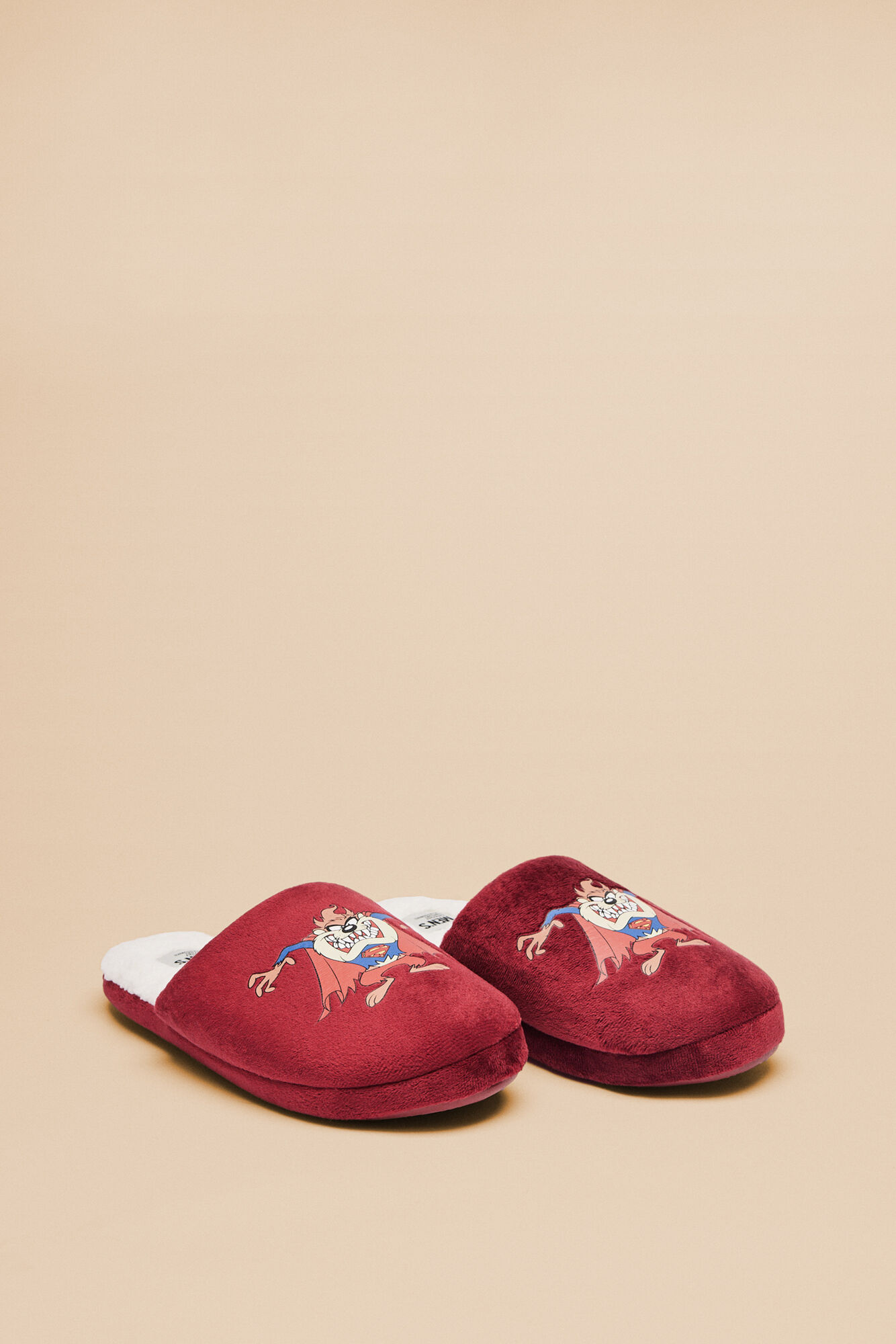 Tasmanian Devil slippers | Men's shoes | SPF