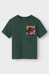 Name it Camiseta Jurassic Park verde