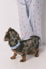 Women'secret Plava ogrlica za psa sa priveskom tre&scaron;nje Plava