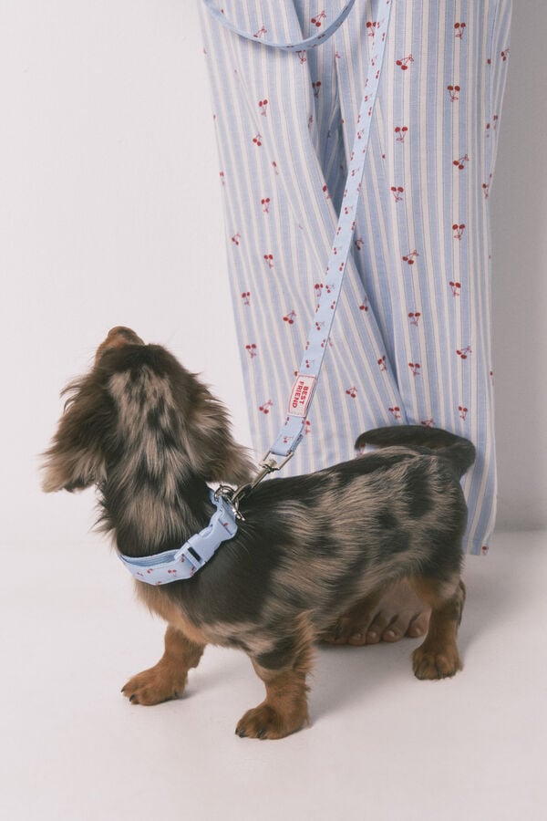 Women'secret Plava ogrlica za psa sa priveskom tre&scaron;nje Plava