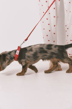 Women'secret Crveni povodilac za pse sa srcima