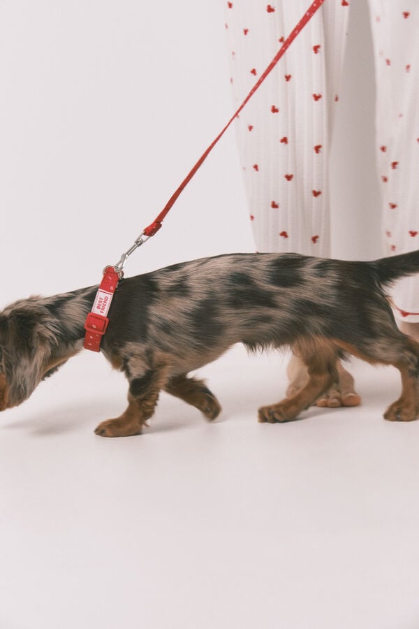 Women'secret Crveni povodilac za pse sa srcima Crvena