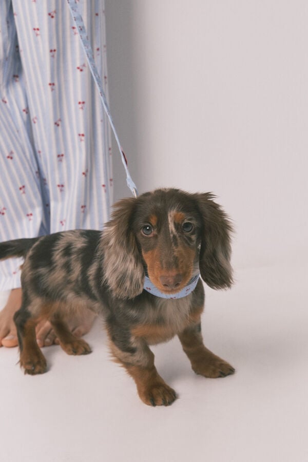 Women'secret Plavi povodilac za pse sa tre&scaron;njama Plava