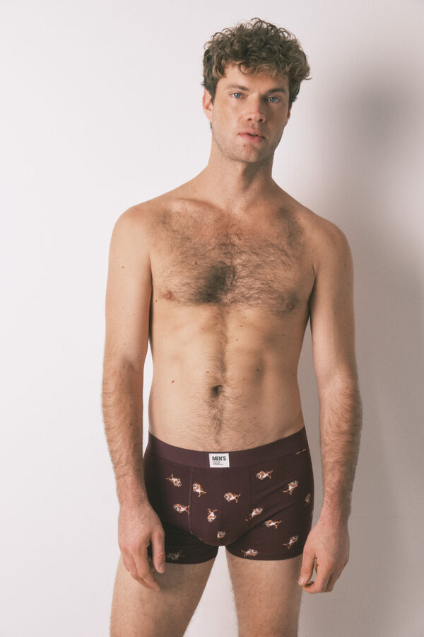 Women'secret Paket od 2 komada pamučnih gaća "Taz" Bordo