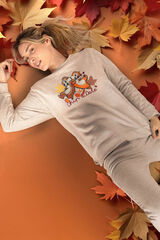 Admas Chip N Dale Plush Pyjamas C brown