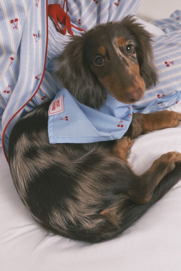 Women'secret Plava bandana sa tre&scaron;njama za psa Plava