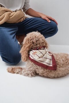Women'secret Pa&ntilde;uelo bandana perros