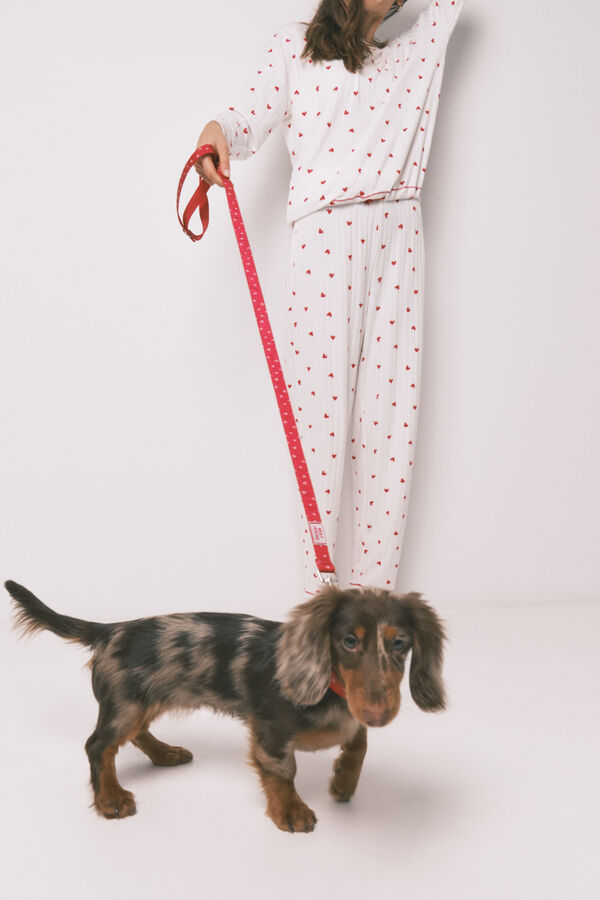 Women'secret Crveni povodilac za pse sa srcima Crvena