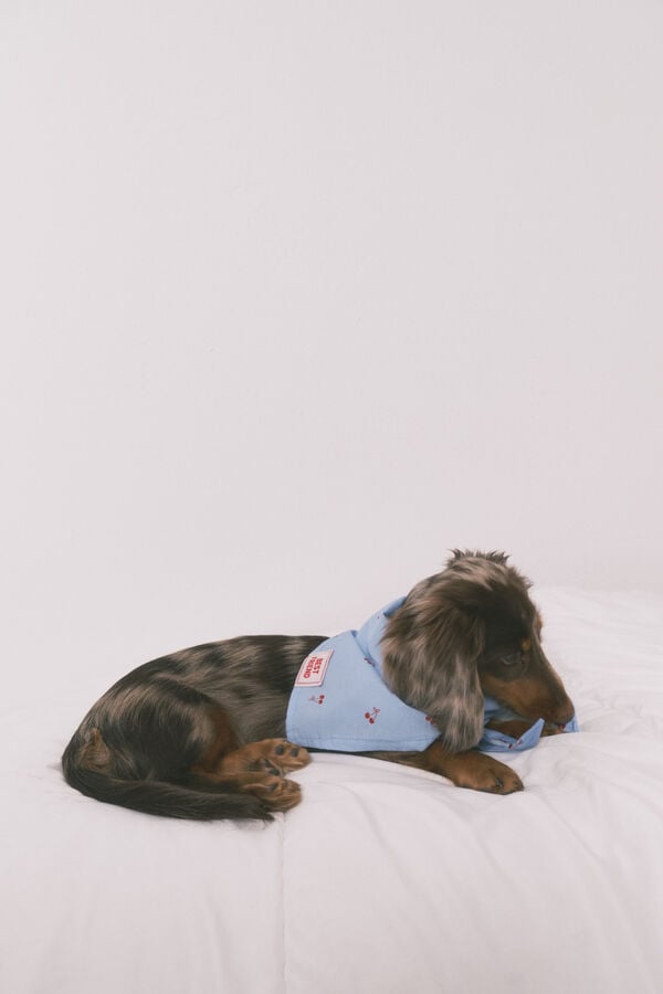 Women'secret Plava bandana sa tre&scaron;njama za psa Plava