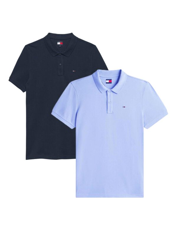 Conjunto de polo y polo
