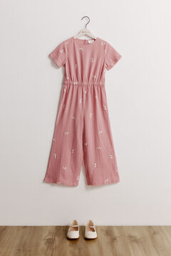 Conjunto de mono y bailarina