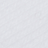 Springfield Calcetín tobillero contraste blanco
