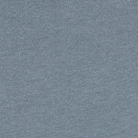 Springfield Men's T-shirt - Champion Legacy Collection grey