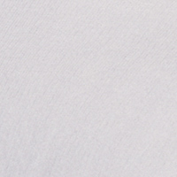 Springfield Men's sweatshirt - Champion Legacy Collection blanc