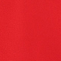 Springfield Bañador logo rojo
