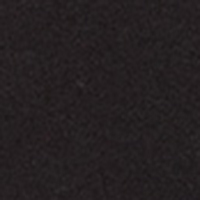 Springfield felpa capucha logo espalda negro