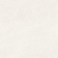 Springfield T-shirt contraste cru