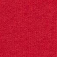 Springfield Logo hoodie rouge