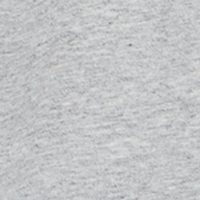 Springfield short-sleeved T-shirt with Champion logo gray