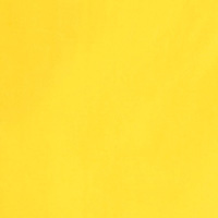 Springfield Bañador logo amarillo
