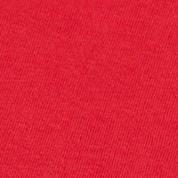 Springfield T-shirt Homem - Champion Legacy Collection vermelho real