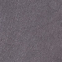 Springfield Men's sweatshirt - Champion Legacy Collection gris