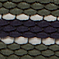 Springfield Multicoloured woven belt grey