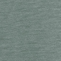 Springfield Short-sleeved T-shirt vert