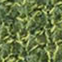 Springfield Jersey-knit cardigan green