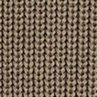 Springfield Long-sleeved jumper brown
