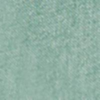 Springfield Camisa oxford color verde