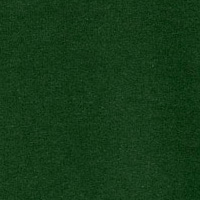 Springfield Camiseta de manga corta y dibujo frontal verde