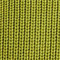 Springfield Long-sleeved jumper green