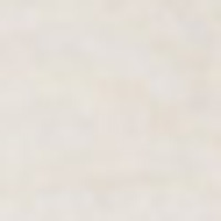 Springfield T-shirt coton biologique blanc