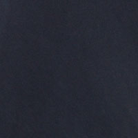 Springfield Herrenshirt - Champion Legacy Collection marino