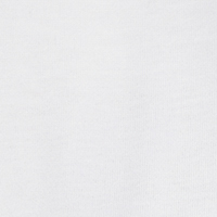 Springfield Men's T-shirt - Champion Legacy Collection blanc