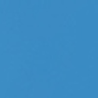Springfield Logo swimming shorts blau