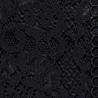 Springfield Mock turtleneck lace top black