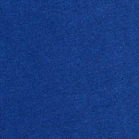 Springfield Men's sweatshirt - Champion Legacy Collection bluish